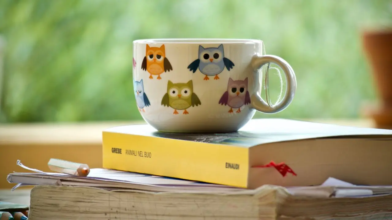 Чашка, чай, совы, книга, закладка, карандаш, чтение